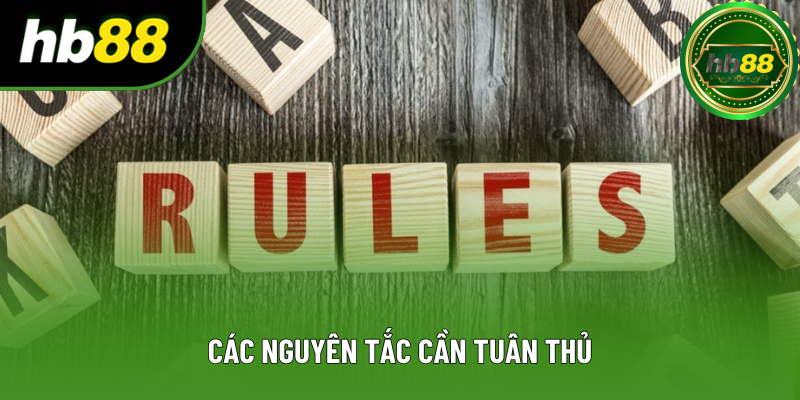 Các nguyên tắc cần tuân thủ Các nguyên tắc cần tuân thủ